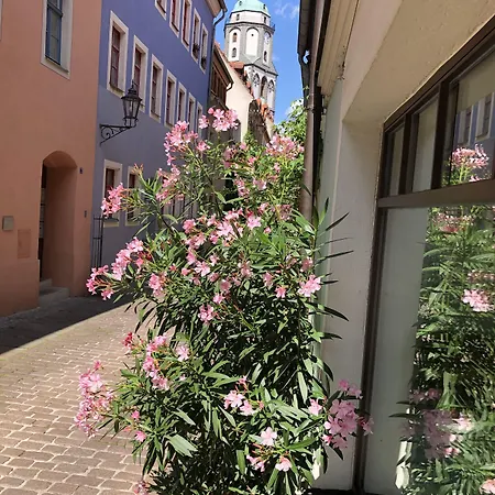 アパート Stadthaus Rosengasse