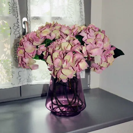 Stadthaus Rosengasse Lejlighed Meißen