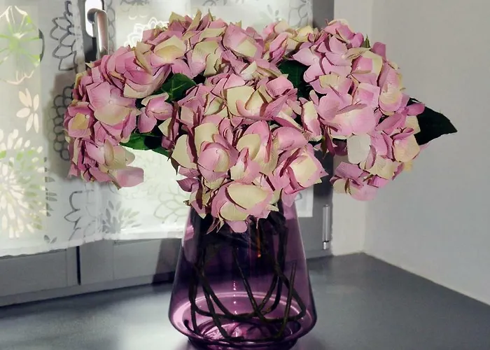 Stadthaus Rosengasse דירה Meißen